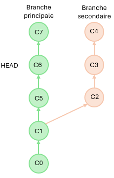 HEAD-1